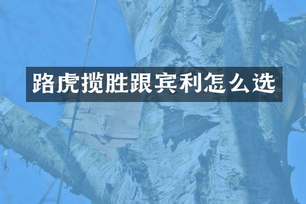 路虎揽胜跟宾利怎么选