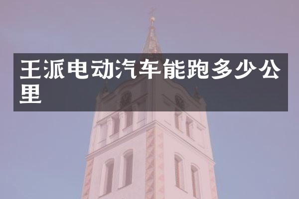 王派电动汽车能跑多少公里