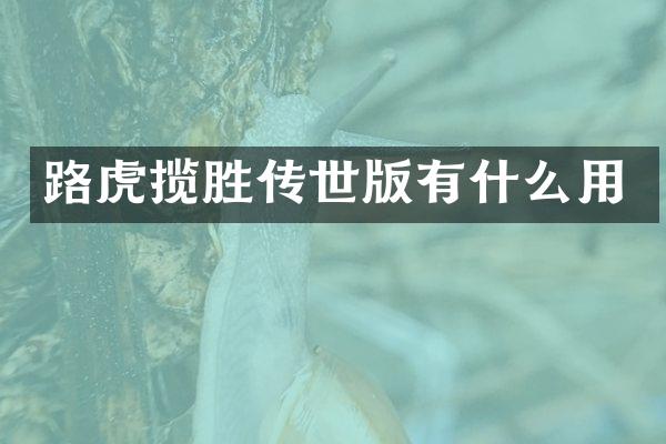 路虎揽胜传世版有什么用