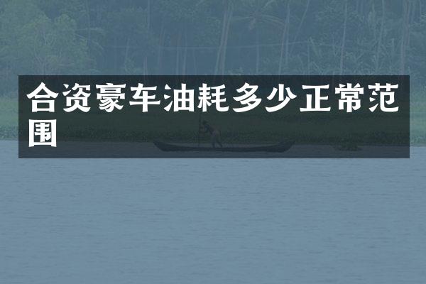 合资豪车油耗多少正常范围