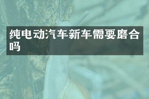 纯电动汽车新车需要磨合吗
