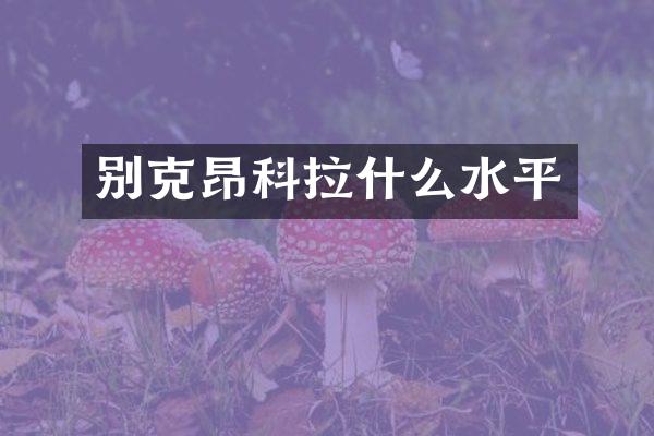 别克昂科拉什么水平