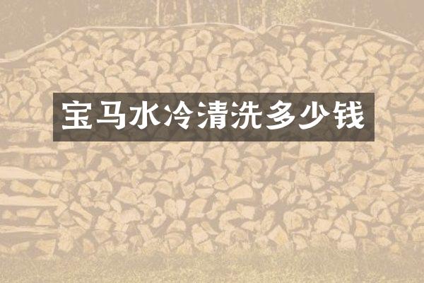 宝马水冷清洗多少钱