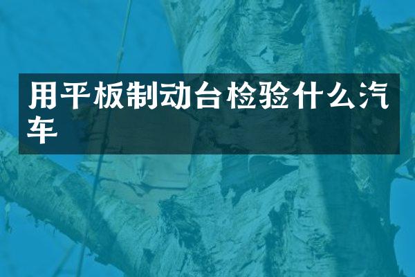 用平板制动台检验什么汽车