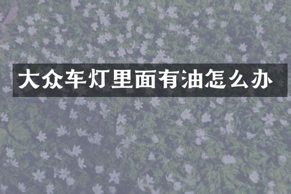 大众车灯里面有油怎么办