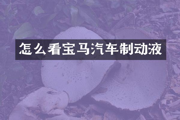 怎么看宝马汽车制动液