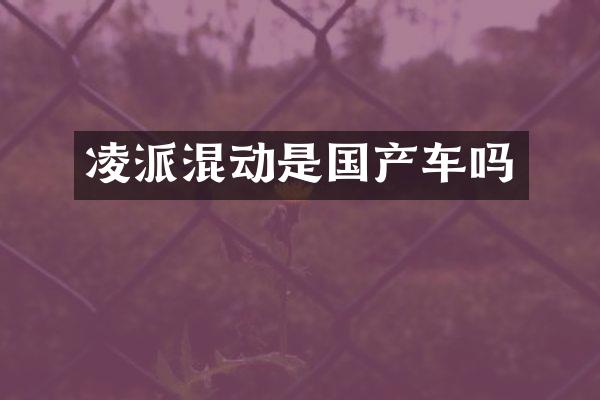 凌派混动是国产车吗