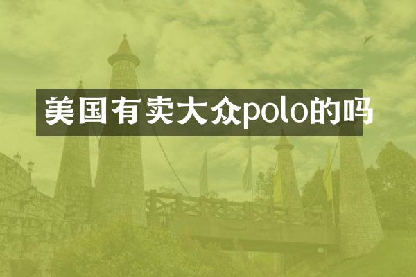 美国有卖大众polo的吗