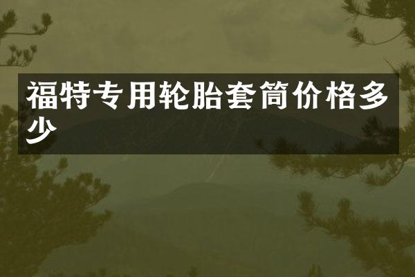 福特专用轮胎套筒价格多少