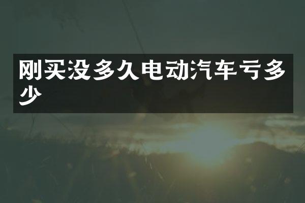 刚买没多久电动汽车亏多少