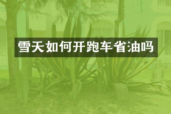 雪天如何开跑车省油吗