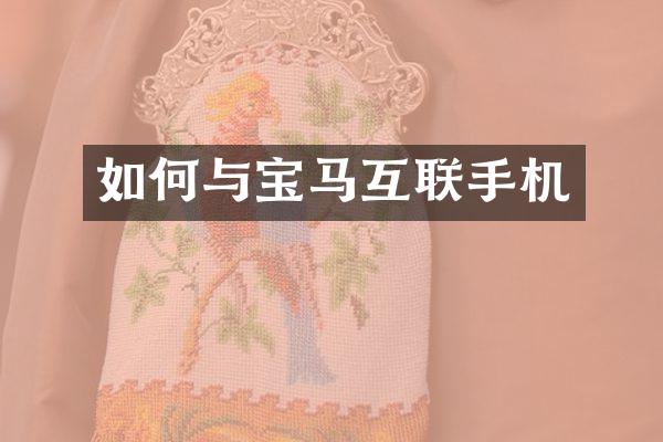 如何与宝马互联手机