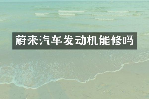 蔚来汽车发动机能修吗