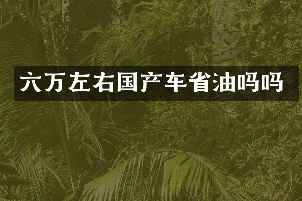 六万左右国产车省油吗吗