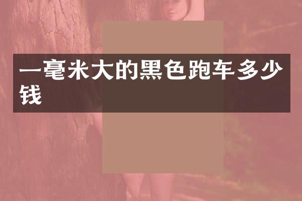 一毫米大的黑色跑车多少钱