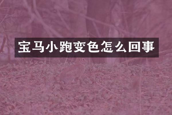 宝马小跑变色怎么回事