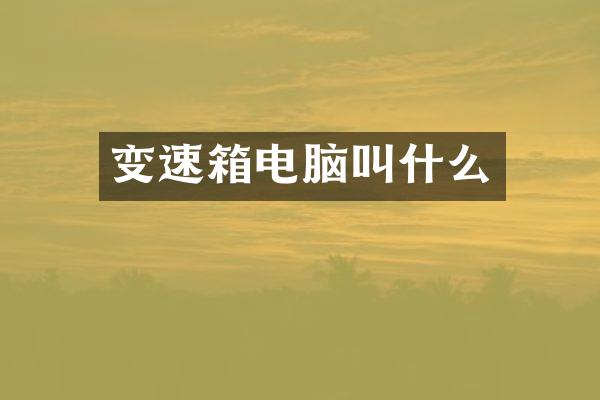 变速箱电脑叫什么