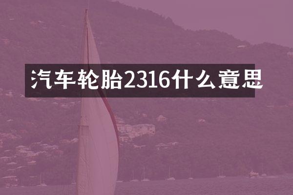 汽车轮胎2316什么意思