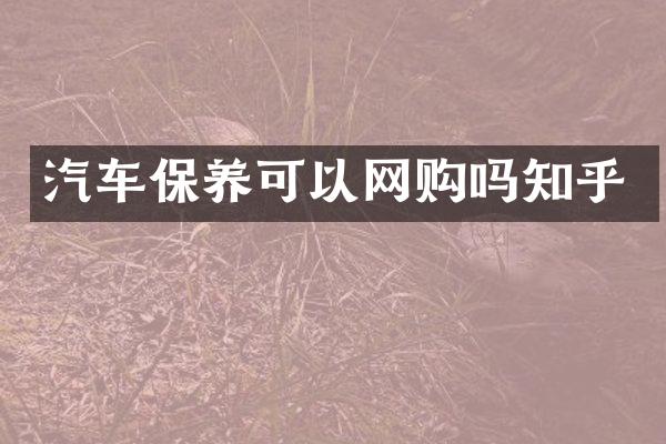 汽车保养可以网购吗知乎