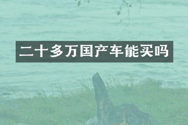 二十多万国产车能买吗