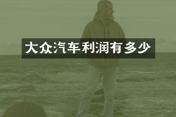 大众汽车利润有多少