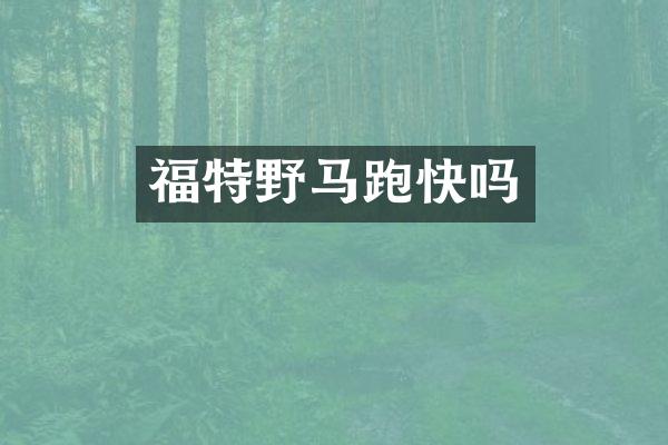 福特野马跑快吗