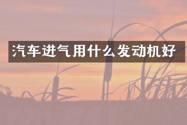 汽车进气用什么发动机好