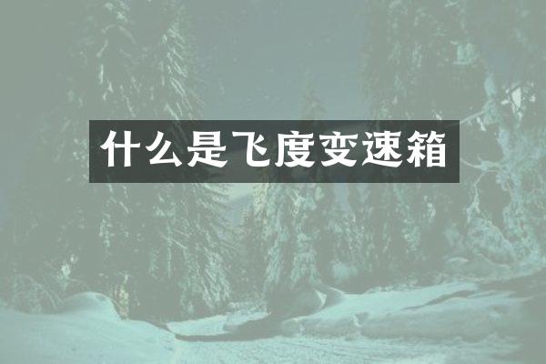 什么是飞度变速箱