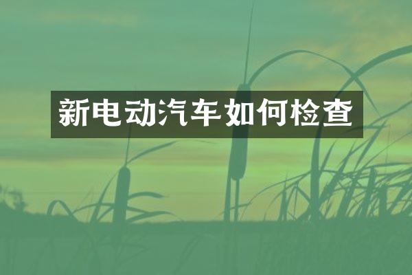 新电动汽车如何检查