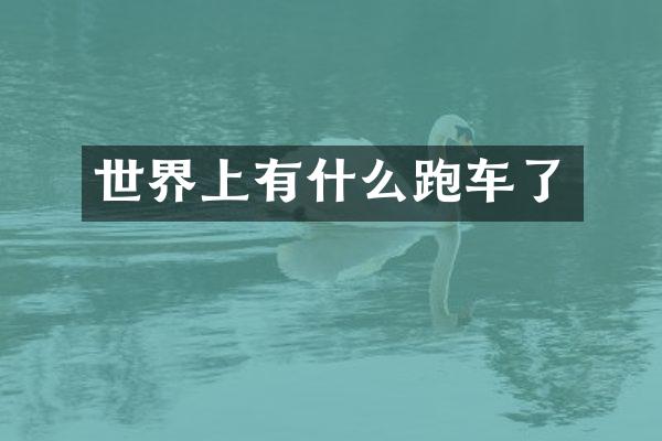 世界上有什么跑车了