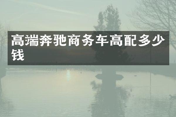 高端奔驰商务车高配多少钱