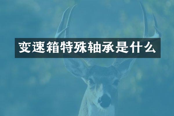 变速箱特殊轴承是什么