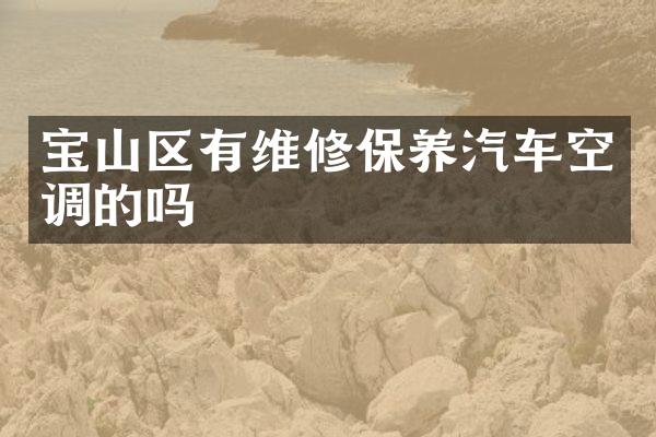 宝山区有维修保养汽车空调的吗