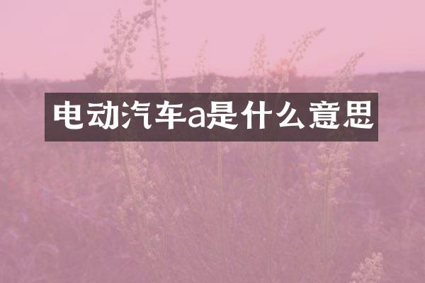 电动汽车a是什么意思