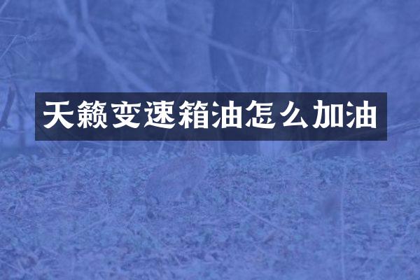 天籁变速箱油怎么加油