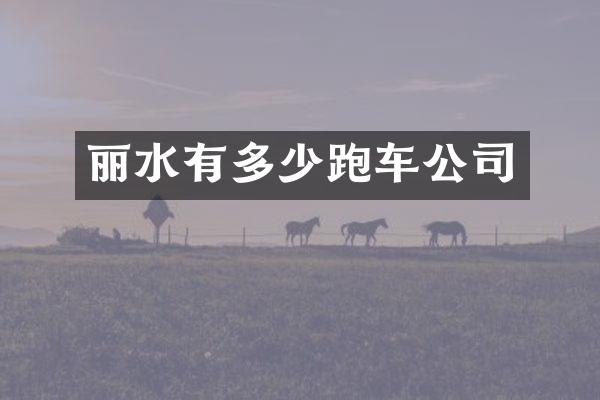 丽水有多少跑车公司