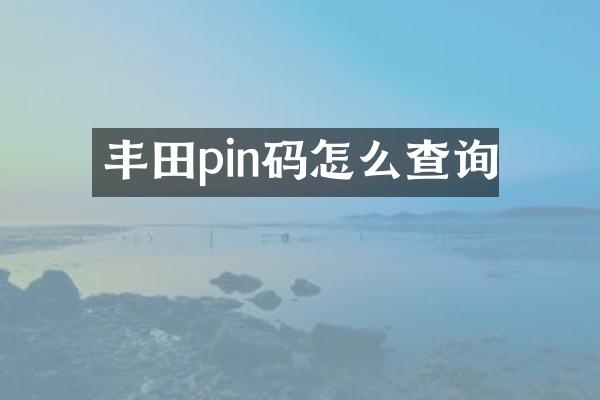 丰田pin码怎么查询