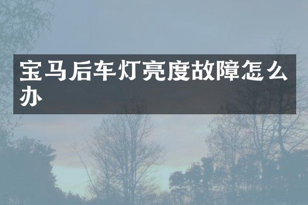 宝马后车灯亮度故障怎么办