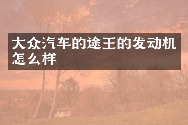 大众汽车的途王的发动机怎么样