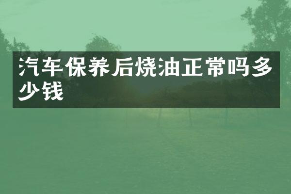 汽车保养后烧油正常吗多少钱