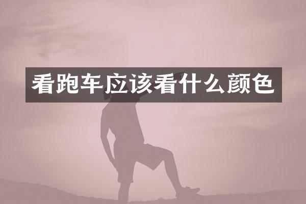 看跑车应该看什么颜色