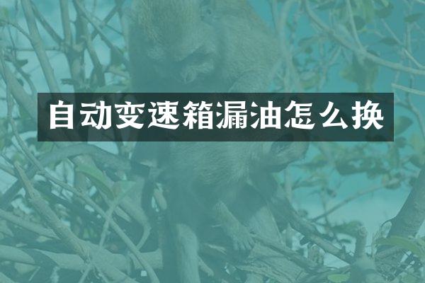 自动变速箱漏油怎么换