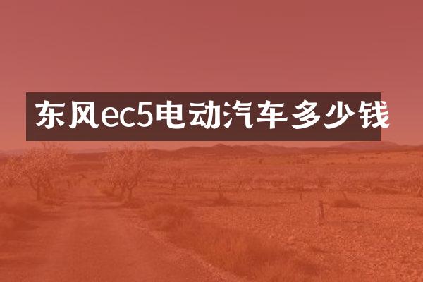 东风ec5电动汽车多少钱