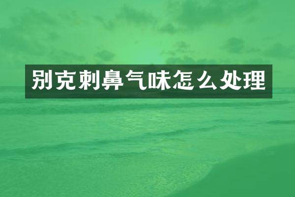 别克刺鼻气味怎么处理