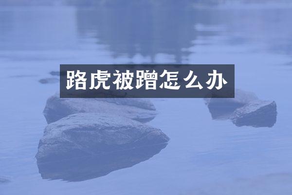 路虎被蹭怎么办