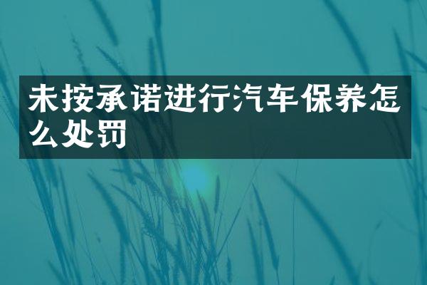 未按承诺进行汽车保养怎么处罚