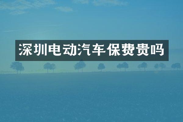 深圳电动汽车保费贵吗