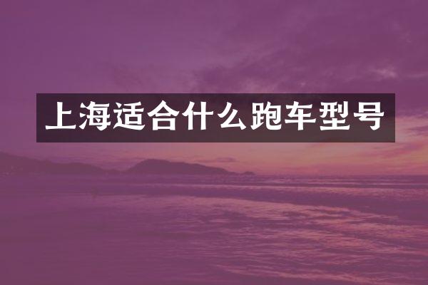 上海适合什么跑车型号