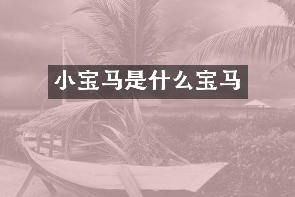 小宝马是什么宝马