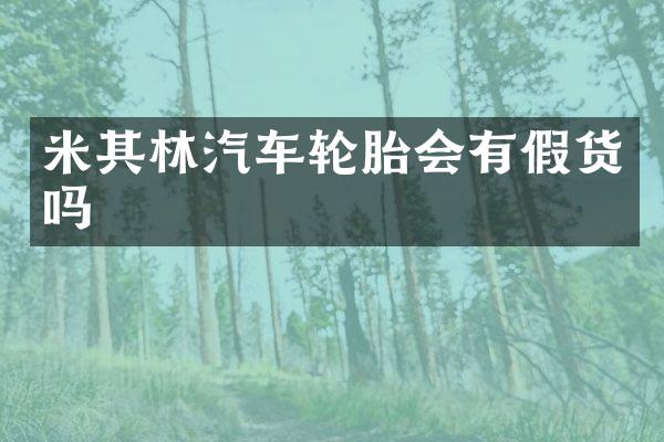米其林汽车轮胎会有假货吗